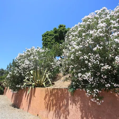 Apart-hotel Ca' La Stella Sea-view 3*