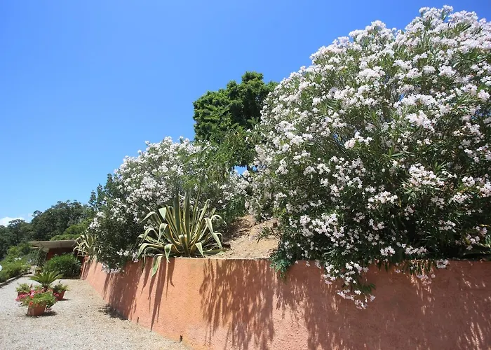 Aparthotel Ca' La Stella Sea-view 3*