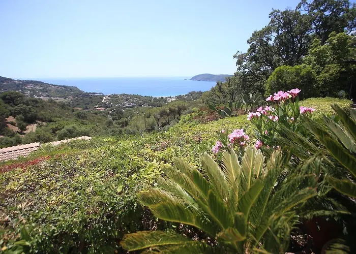 Aparthotel Ca' La Stella Sea-view Porto Azzurro